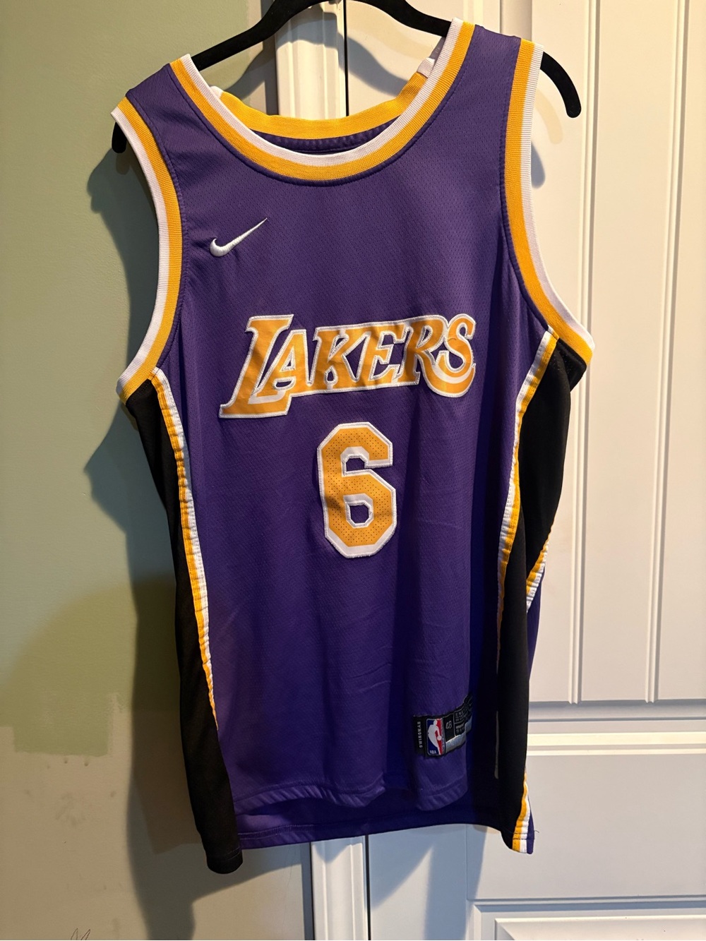 NBA Los Angeles Lakers Purple and Gold #6 Jersey